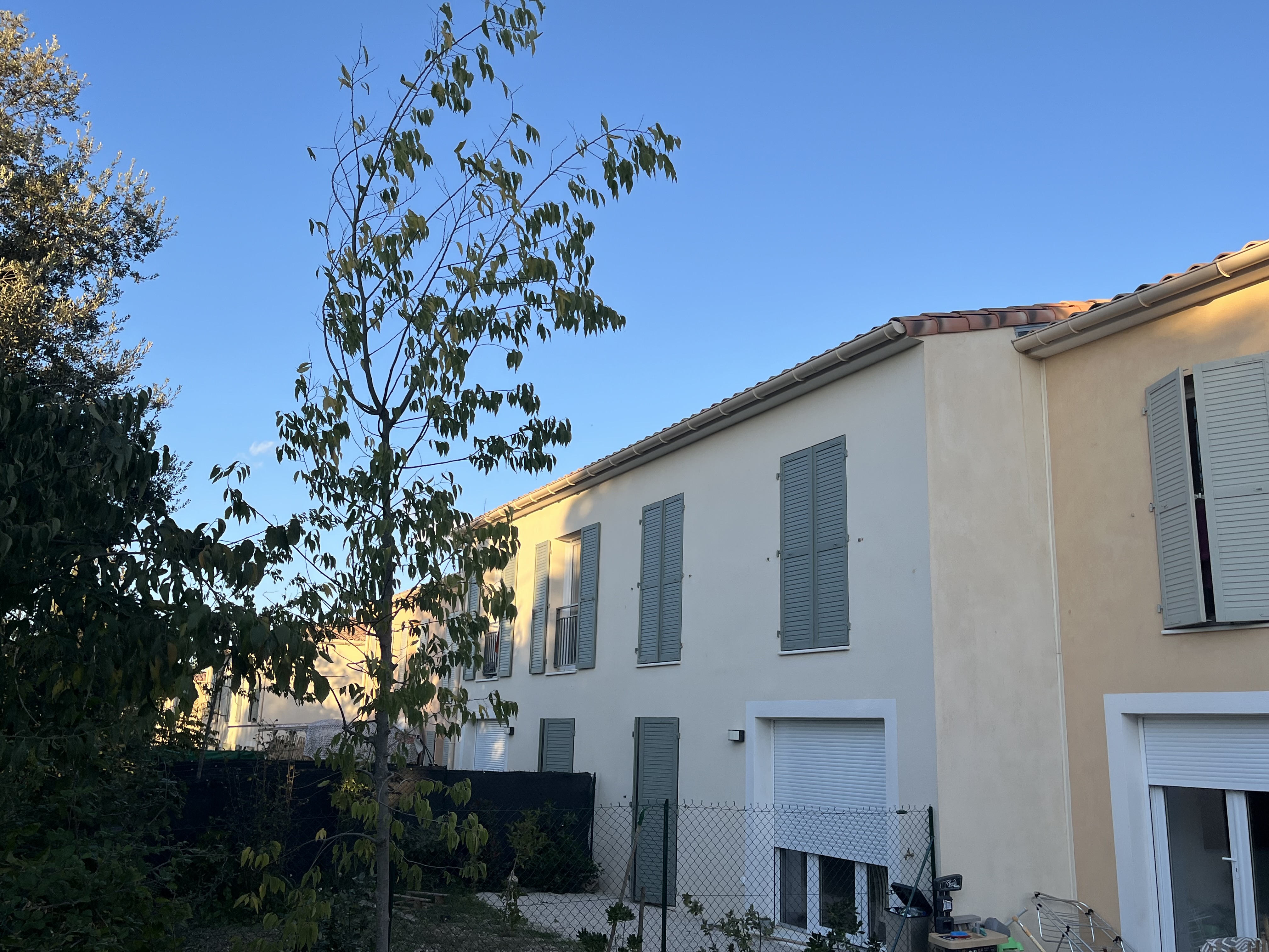 Bellavista